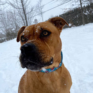 Meet your Posher, Malia